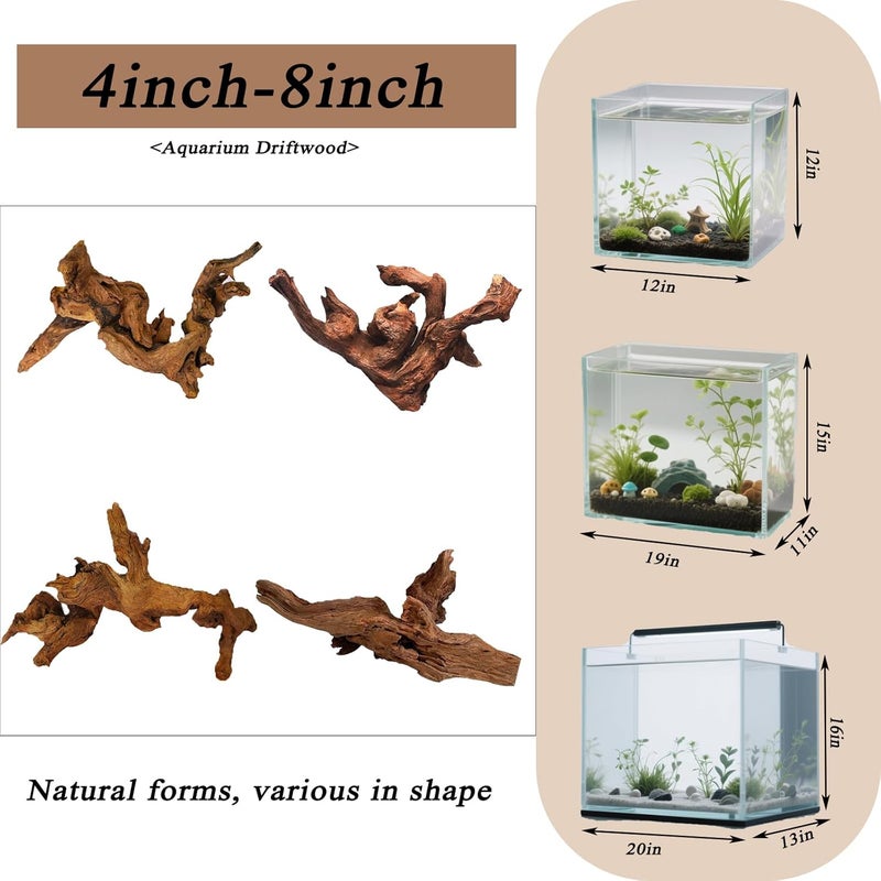 awenyzen Natural Aquarium Driftwood for Fish Tank & Reptile Terrarium Decor – 4 Pcs Assorted Natural Wood Branches 4-8 Inch, Aquarium Decorations for Shrimp, Betta, Lizards - Image 3